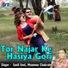 Tor Najar Ke Hasiya Gori